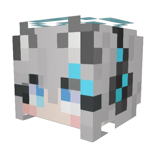 ditmechanbomaydi Minecraft avatar head, 3D render