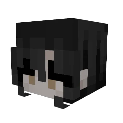 ditsy777 Minecraft avatar head, 3D render