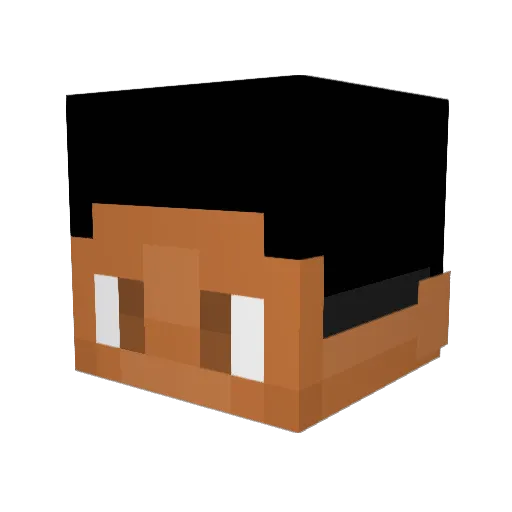 diva_queen69 Minecraft avatar head, 3D render