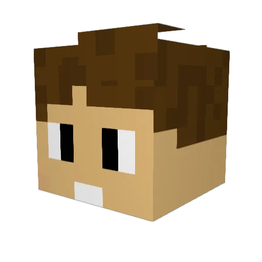 divediie Minecraft avatar head, 3D render