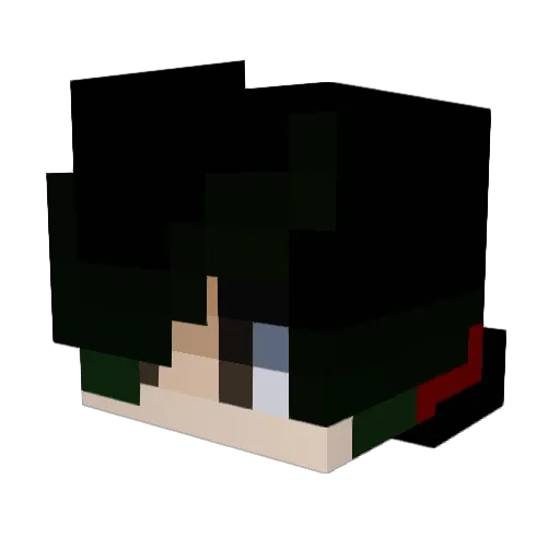 diversae Minecraft avatar head, 3D render