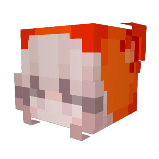 divet Minecraft avatar head, 3D render