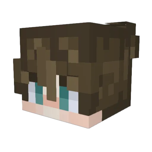 dividedpage Minecraft avatar head, 3D render