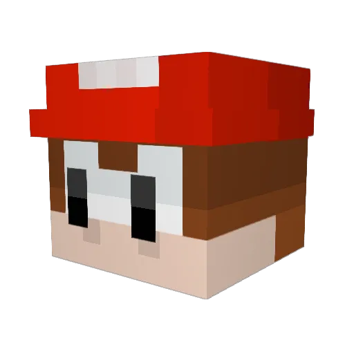 dixienormous25 Minecraft avatar head, 3D render