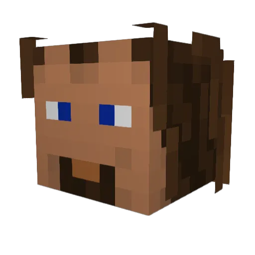 dixynourmous Minecraft avatar head, 3D render