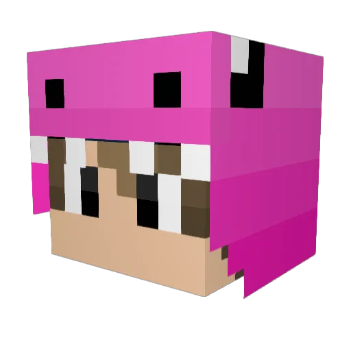diyminer Minecraft avatar head, 3D render
