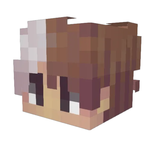 dizqi_omg Minecraft avatar head, 3D render