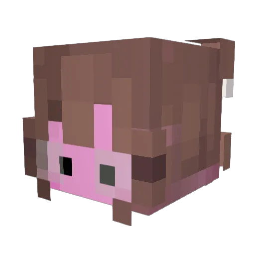 dizzydevious Minecraft avatar head, 3D render