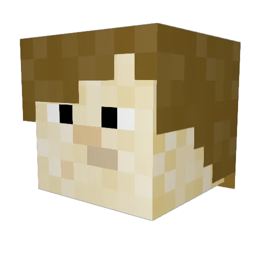 dj335 Minecraft avatar head, 3D render