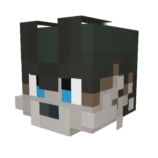 dj6 Minecraft avatar head, 3D render