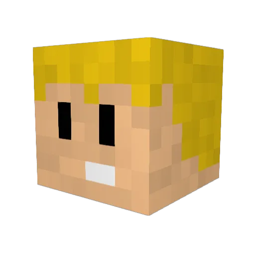 dj89515 Minecraft avatar head, 3D render