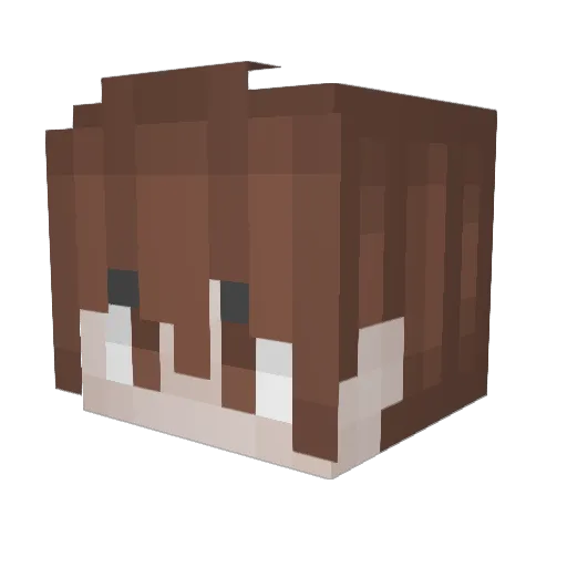 dj9545 Minecraft avatar head, 3D render