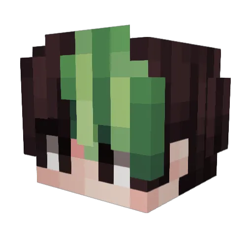 djSORRELL Minecraft avatar head, 3D render