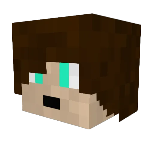 dj__lp Minecraft avatar head, 3D render