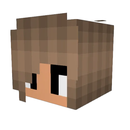 dj_fluffles Minecraft avatar head, 3D render