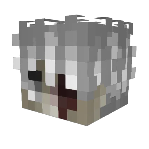 djaana Minecraft avatar head, 3D render
