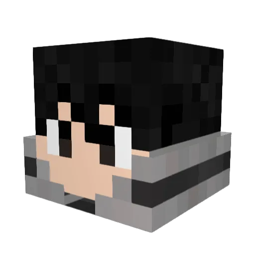djand13 Minecraft avatar head, 3D render
