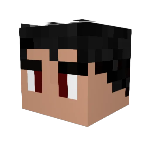 djangel321 Minecraft avatar head, 3D render