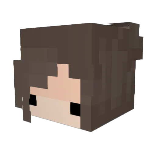 djbabybrae Minecraft avatar head, 3D render