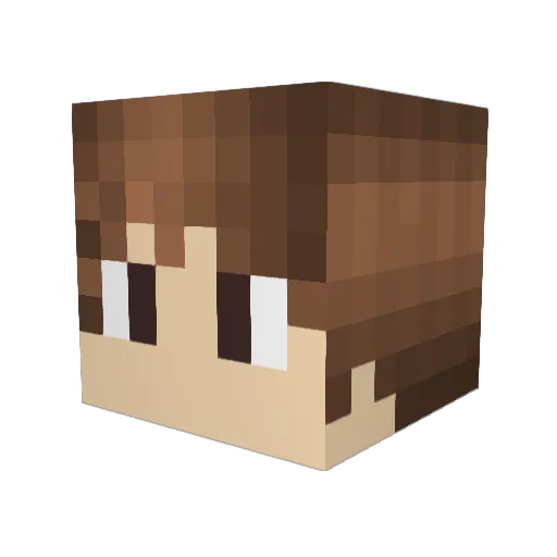 djchaney32100 Minecraft avatar head, 3D render