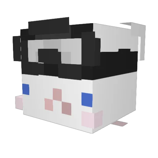 djcls Minecraft avatar head, 3D render
