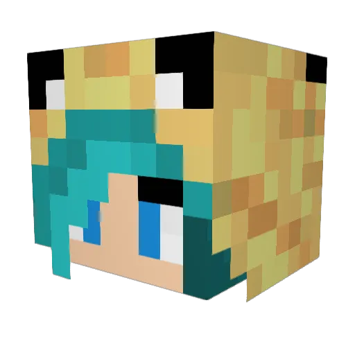 djcreeper14 Minecraft avatar head, 3D render