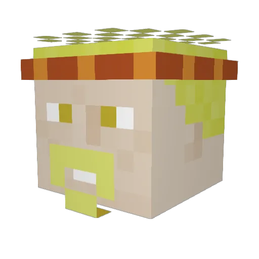 djd4jc Minecraft avatar head, 3D render