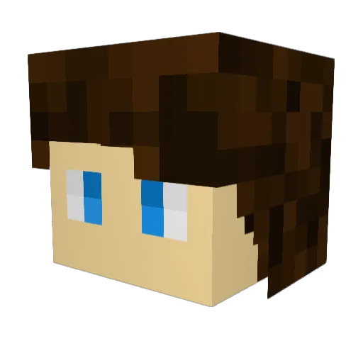 djdj5050 Minecraft avatar head, 3D render