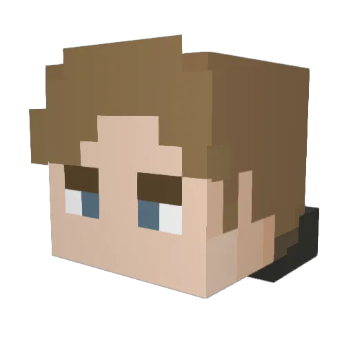 djdkdndd Minecraft avatar head, 3D render