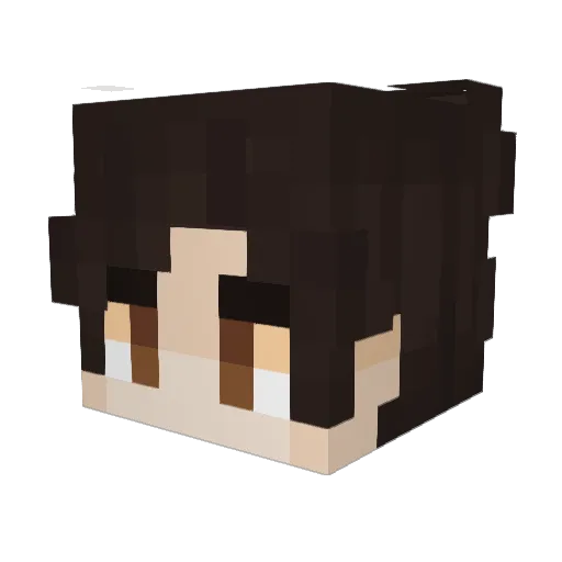 djdrsmith Minecraft avatar head, 3D render