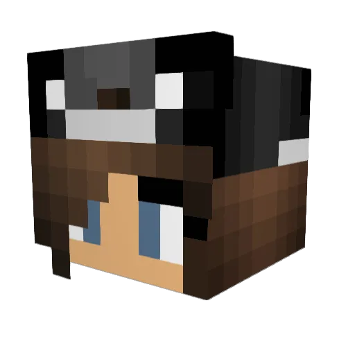 djezibel Minecraft avatar head, 3D render