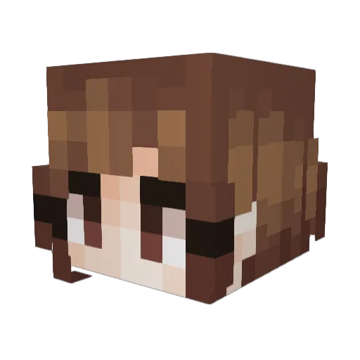 djflower1101 Minecraft avatar head, 3D render