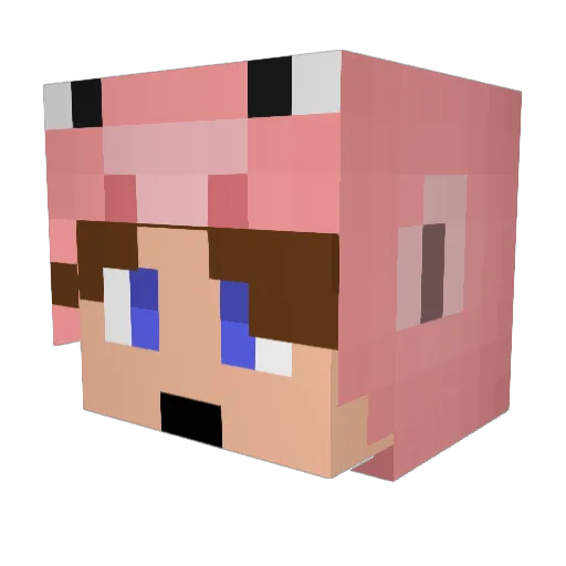djime Minecraft avatar head, 3D render