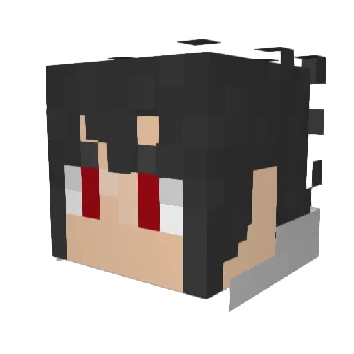 djj12 Minecraft avatar head, 3D render