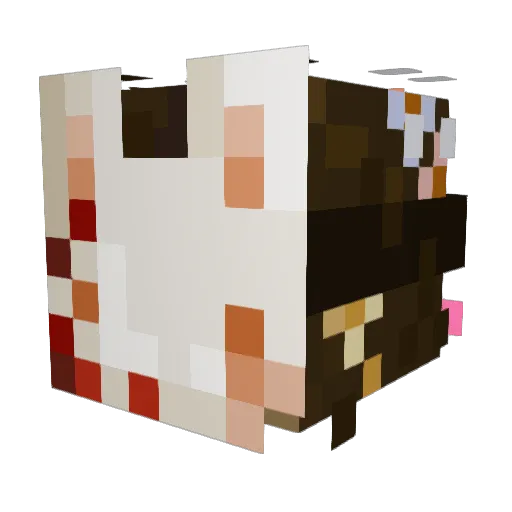 Minecraft-Avatar von djklamyydia: Kopf als 3D-Render