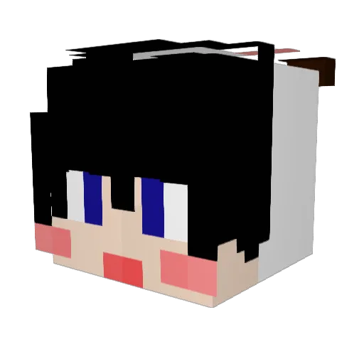 djnave Minecraft avatar head, 3D render