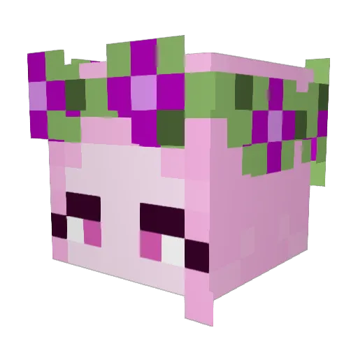 djoodi420 Minecraft avatar head, 3D render