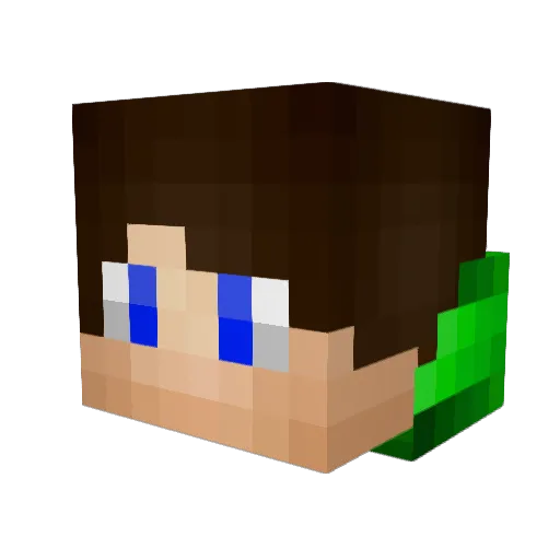 djpedroao2 Minecraft avatar head, 3D render