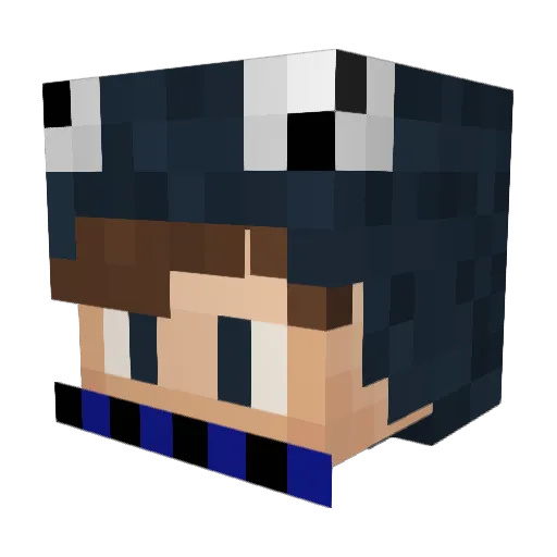 djpit006 Minecraft avatar head, 3D render