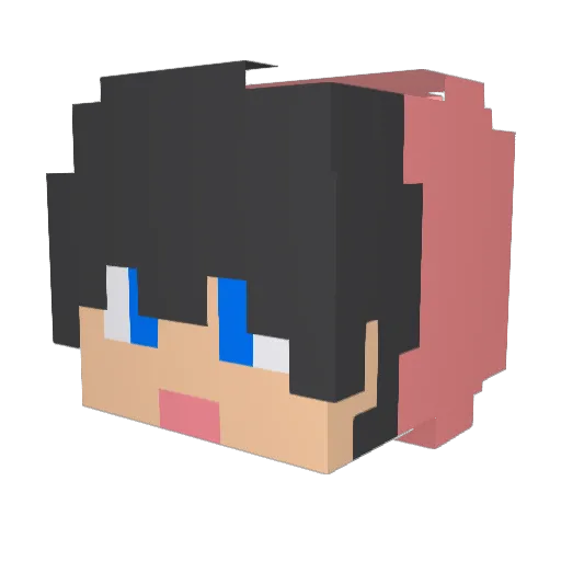 djrdnf Minecraft avatar head, 3D render