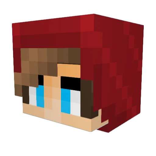 djshiloh12 Minecraft avatar head, 3D render