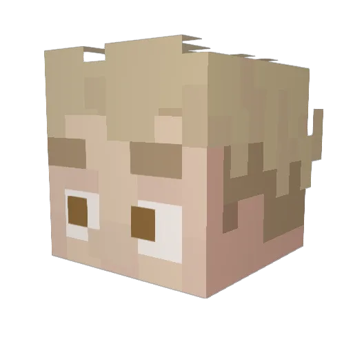 djudy926 Minecraft avatar head, 3D render