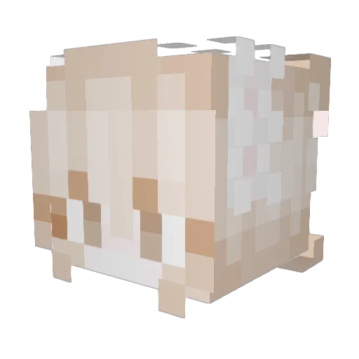 djupsjobacka Minecraft avatar head, 3D render