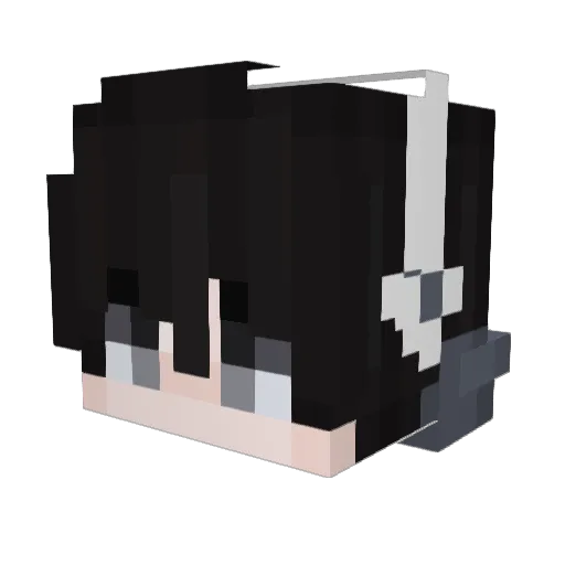 djy111 Minecraft avatar head, 3D render