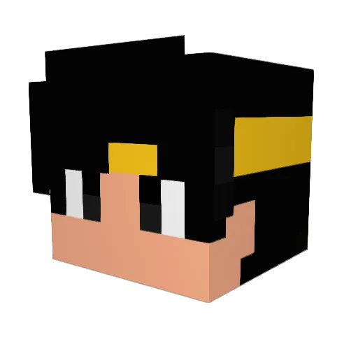 djydoesmc Minecraft avatar head, 3D render