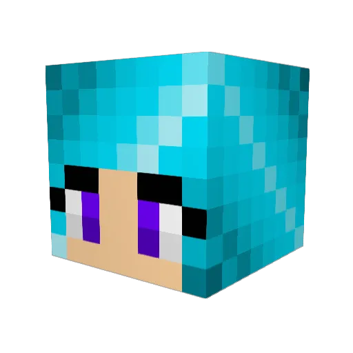 dk813 Minecraft avatar head, 3D render