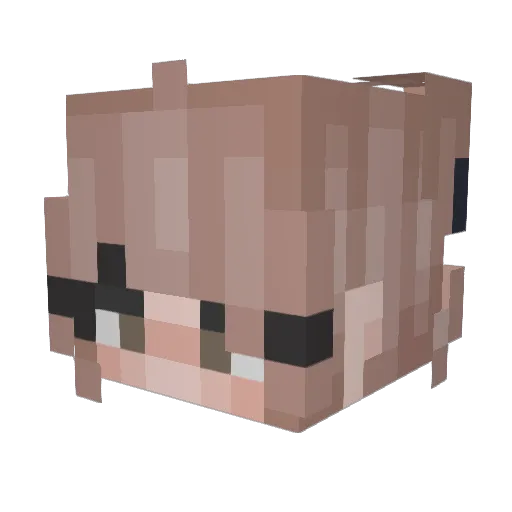 dksupremos Minecraft avatar head, 3D render