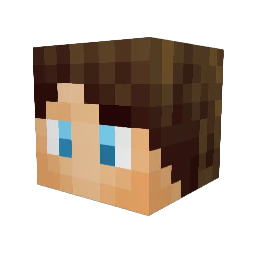 dlanorr Minecraft avatar head, 3D render