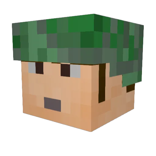 dlb447 Minecraft avatar head, 3D render