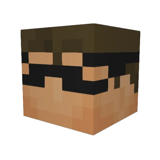 dlcx2 Minecraft avatar head, 3D render